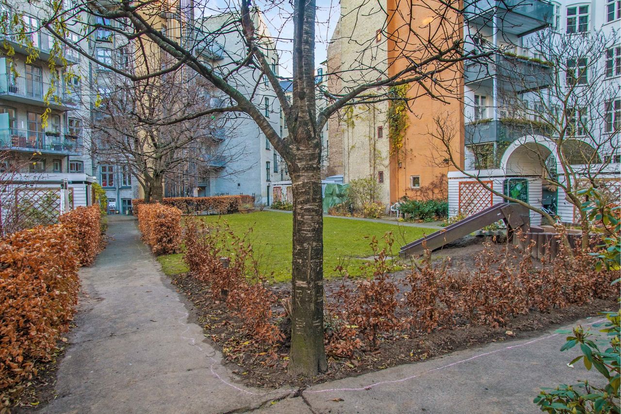 image 01